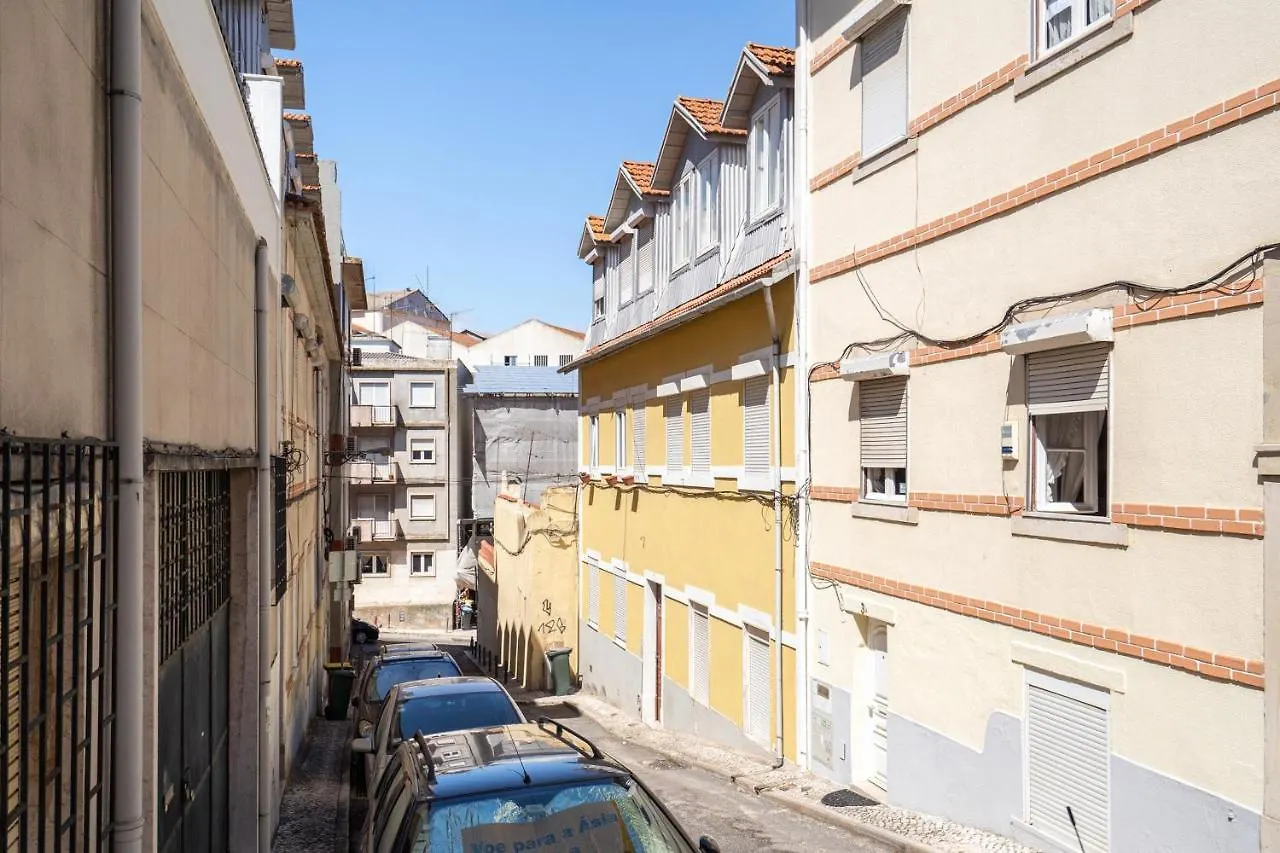 Akicity Real Charm Lissabon
